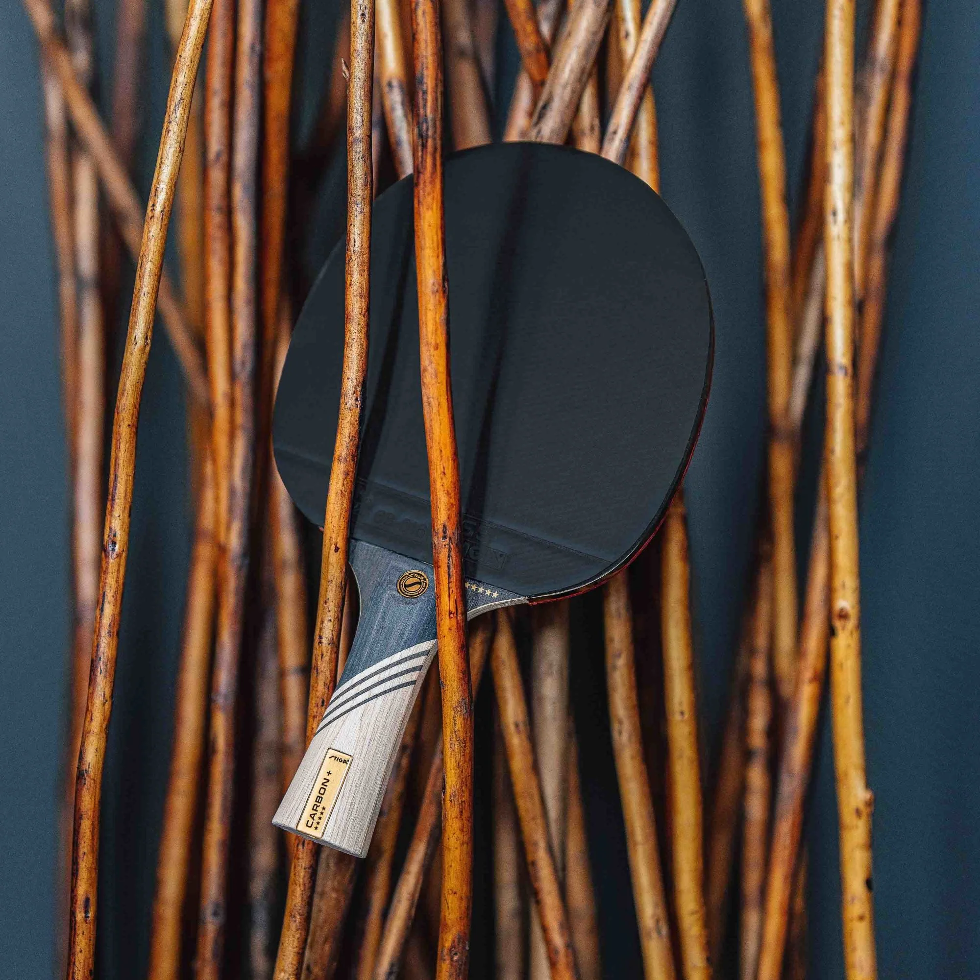 Carbon+ - Image 8